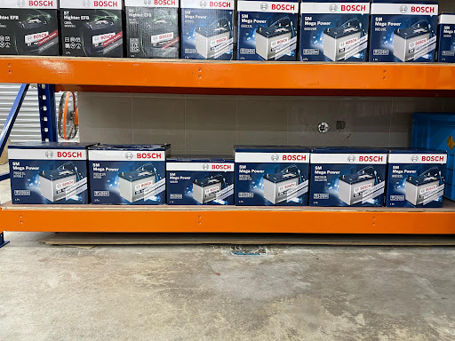 Bosch Battery Professional (Carsuka)