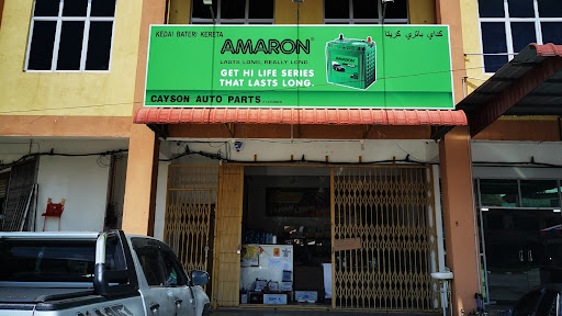 Cayson auto parts Battery