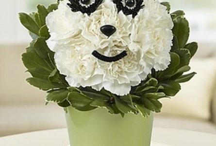 Foto Buket Panda Kawaii: Hiasan Bunga Lucu untuk Hadiah Unik