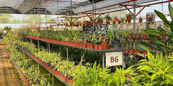 Za Nursery & Landscaping Malaysia - Perkhidmatan Taman & Lanskap Berkualiti di Selangor